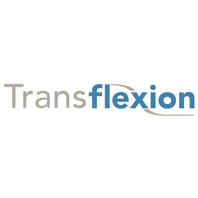 Logo Transflexion
