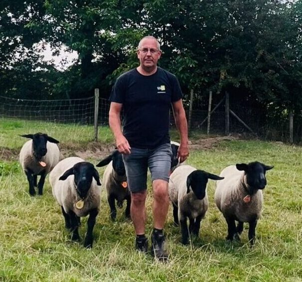 Paul en schapen